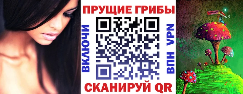блэк спрут ONION  Ишим  Псилоцибиновые грибы Psilocybe 
