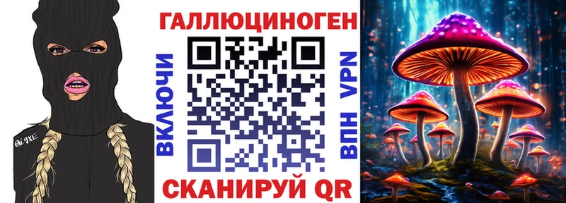 Галлюциногенные грибы Psilocybe Ишим